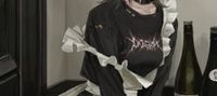 From Pawn to King: Ruling a Harem of Chaos